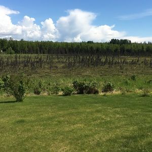 Meet your Posher, Larry